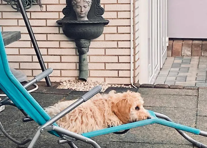 Casita - Sterneferienhaus Mit Garten, Sauna Und Wallbox בית נופש *